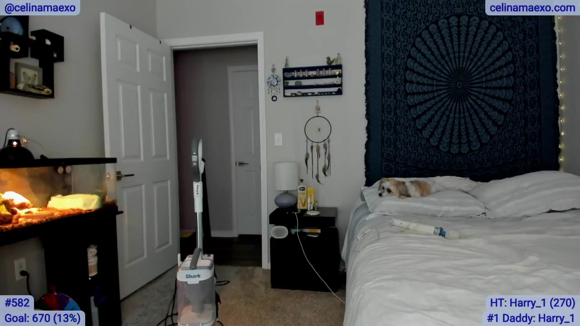 Gallery image thumbnail from Celinamaexo's myfreecams stream on, 03/06/2025, 19:24 image 9 of 20