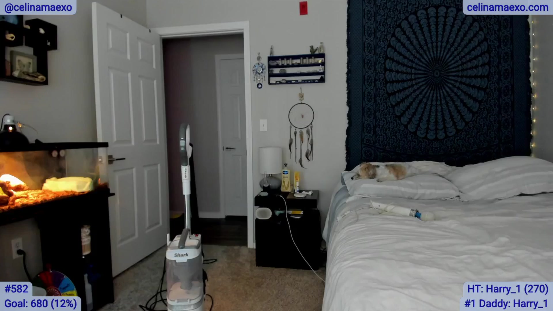 Gallery image thumbnail from Celinamaexo's myfreecams stream on, 03/06/2025, 19:24 image 6 of 20