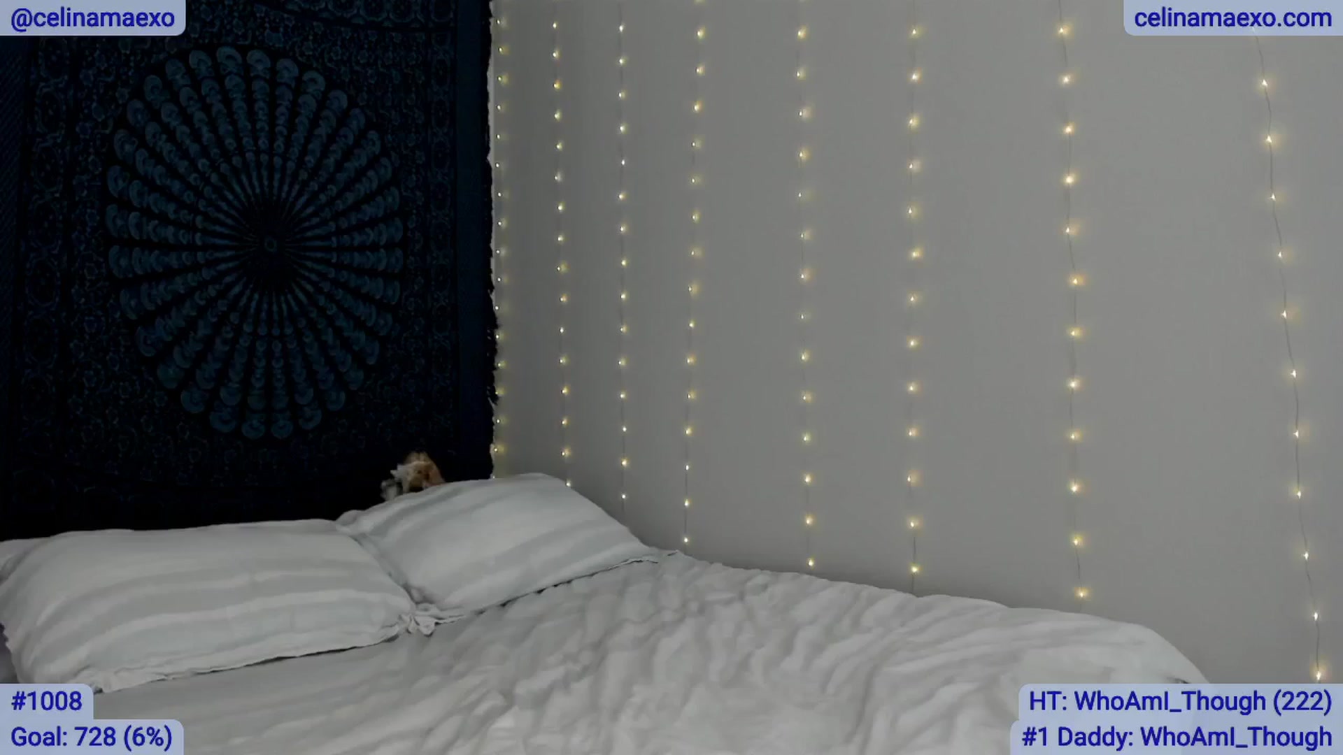 Gallery image thumbnail from Celinamaexo's myfreecams stream on, 03/24/2025, 17:00 image 13 of 20