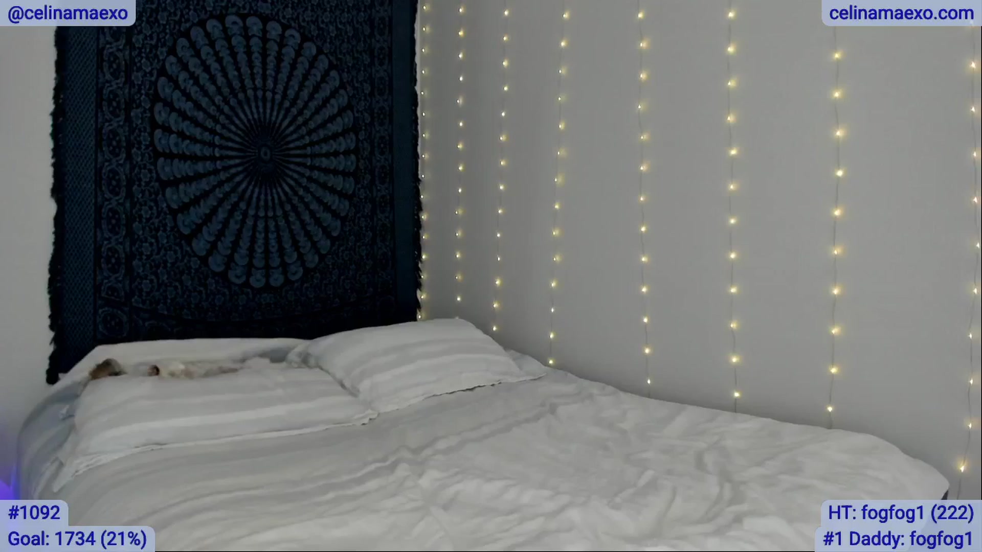 Gallery image thumbnail from Celinamaexo's myfreecams stream on, 05/29/2025, 20:07 image 12 of 20