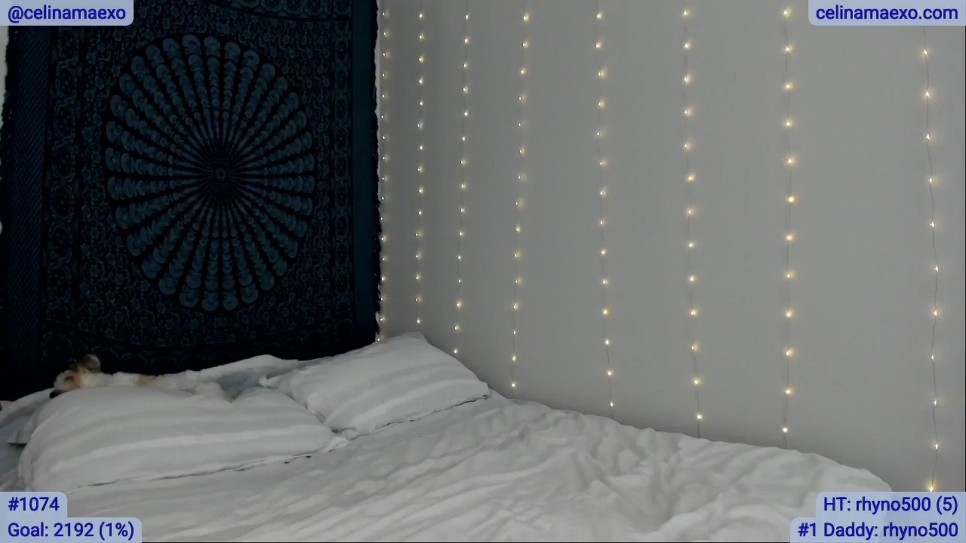 Gallery image thumbnail from Celinamaexo's myfreecams stream on, 05/30/2025, 19:30 image 2 of 20