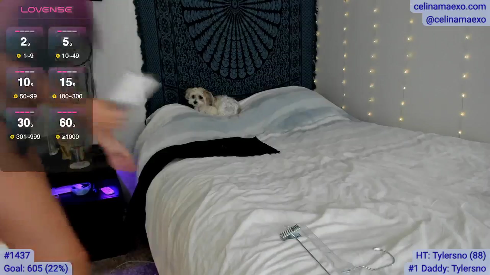 Gallery image thumbnail from Celinamaexo's myfreecams stream on, 07/16/2025, 18:08 image 7 of 20