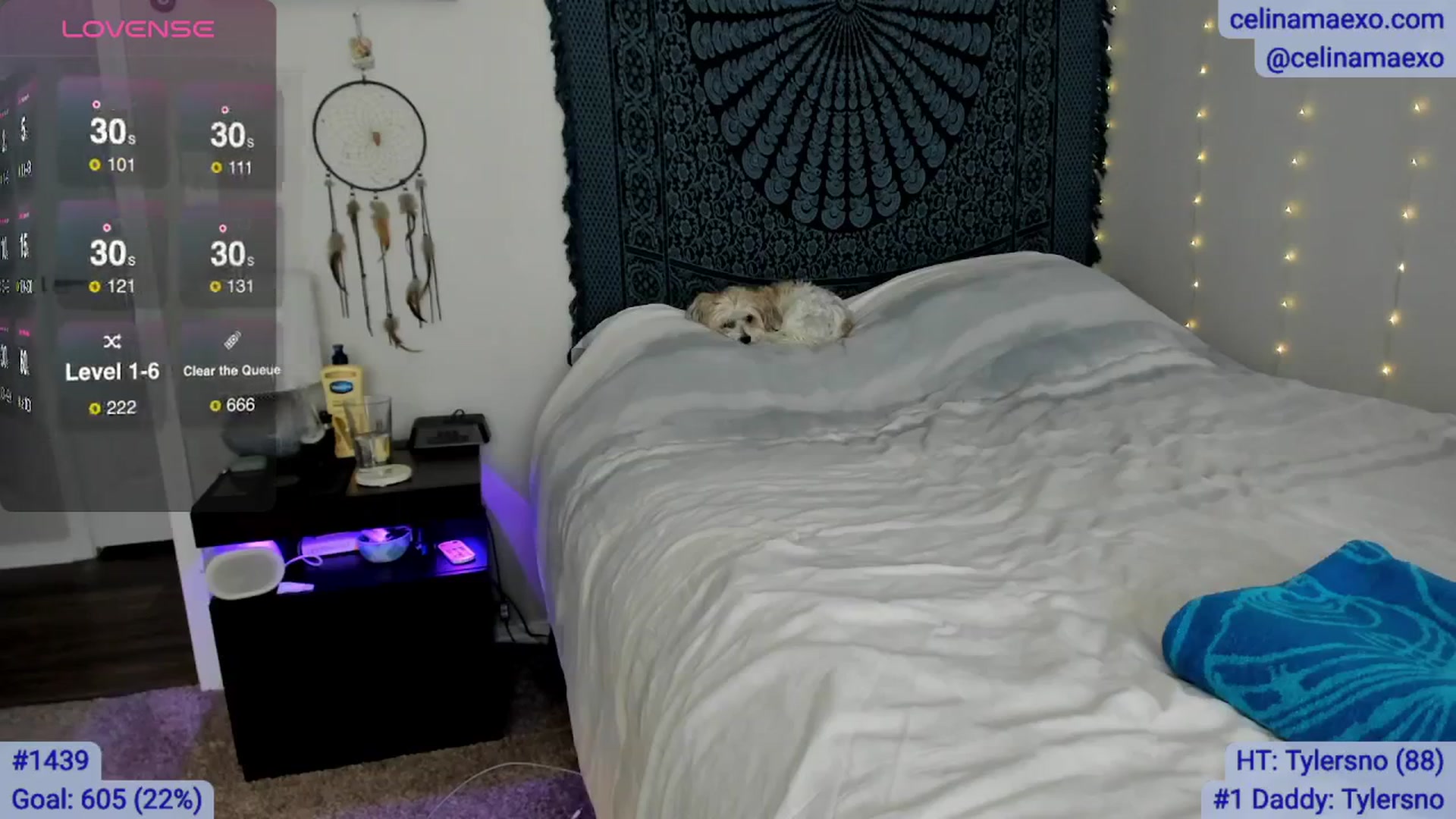 Gallery image thumbnail from Celinamaexo's myfreecams stream on, 07/16/2025, 18:08 image 12 of 20