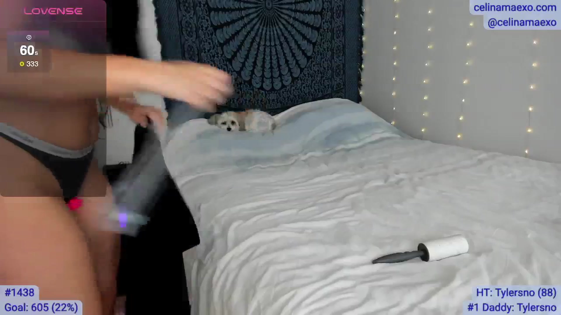 Gallery image thumbnail from Celinamaexo's myfreecams stream on, 07/16/2025, 18:08 image 8 of 20