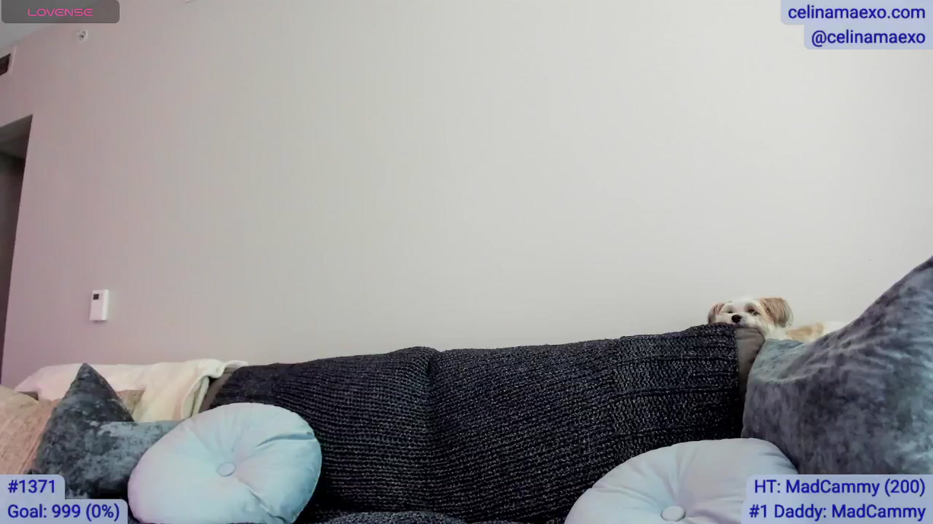 Gallery image thumbnail from Celinamaexo's myfreecams stream on, 07/30/2025, 17:08 image 17 of 20