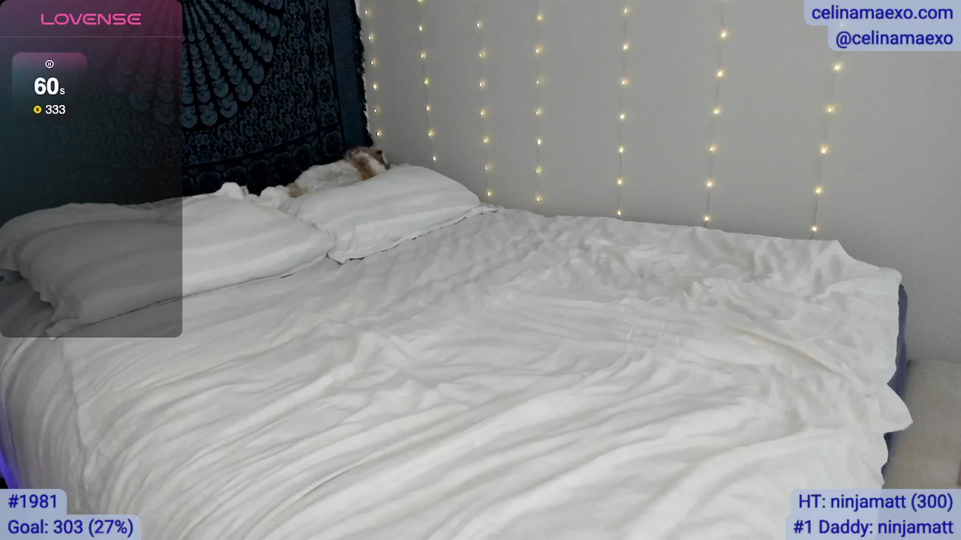 Gallery image thumbnail from Celinamaexo's myfreecams stream on, 09/24/2025, 18:11 image 8 of 20