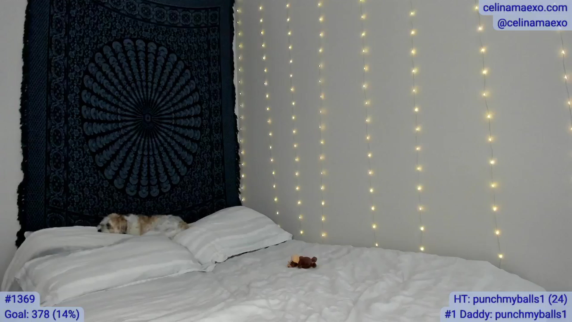 Gallery image thumbnail from Celinamaexo's myfreecams stream on, 09/30/2025, 19:37 image 4 of 20