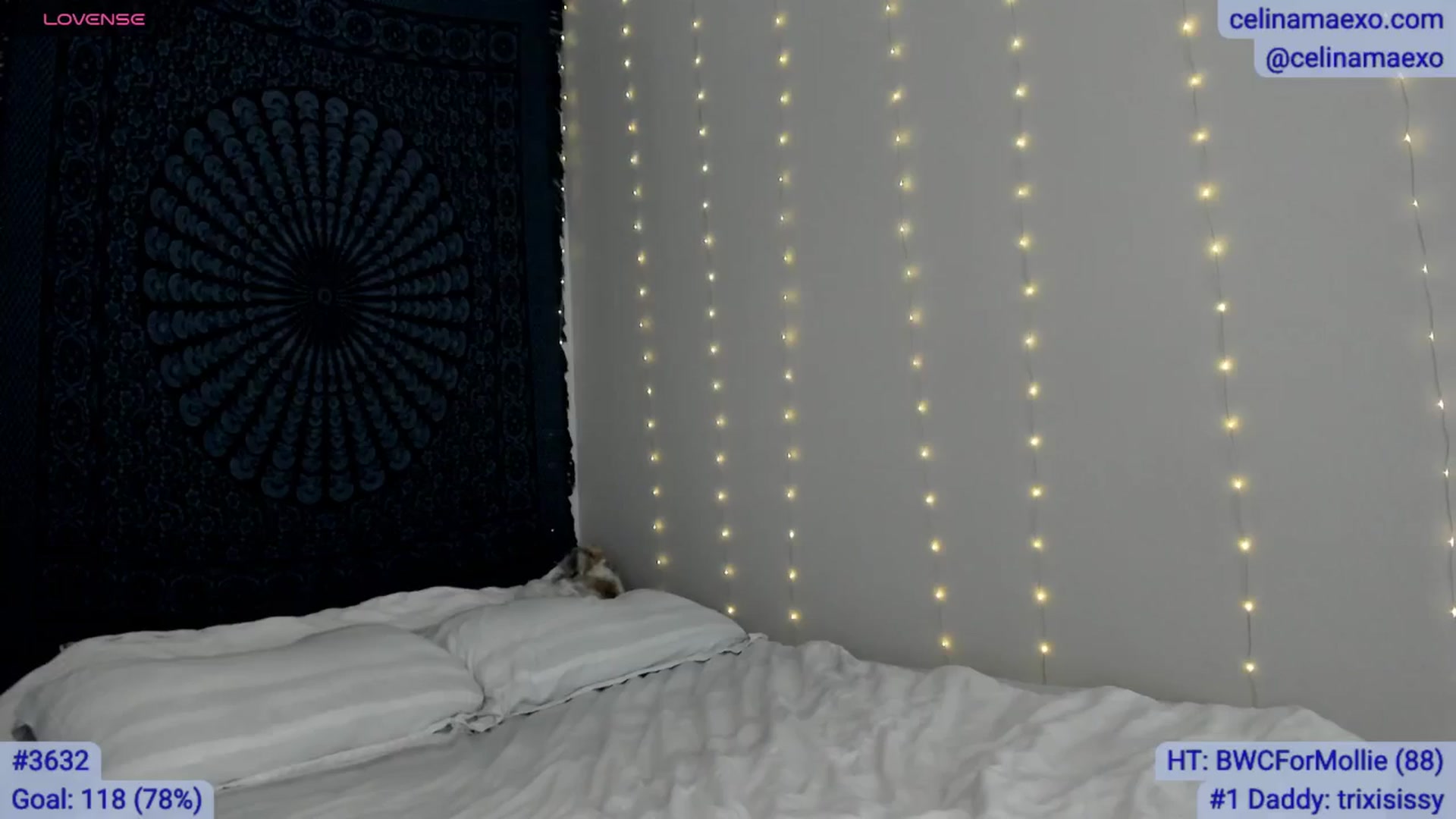Gallery image thumbnail from Celinamaexo's myfreecams stream on, 11/06/2025, 18:49 image 9 of 20
