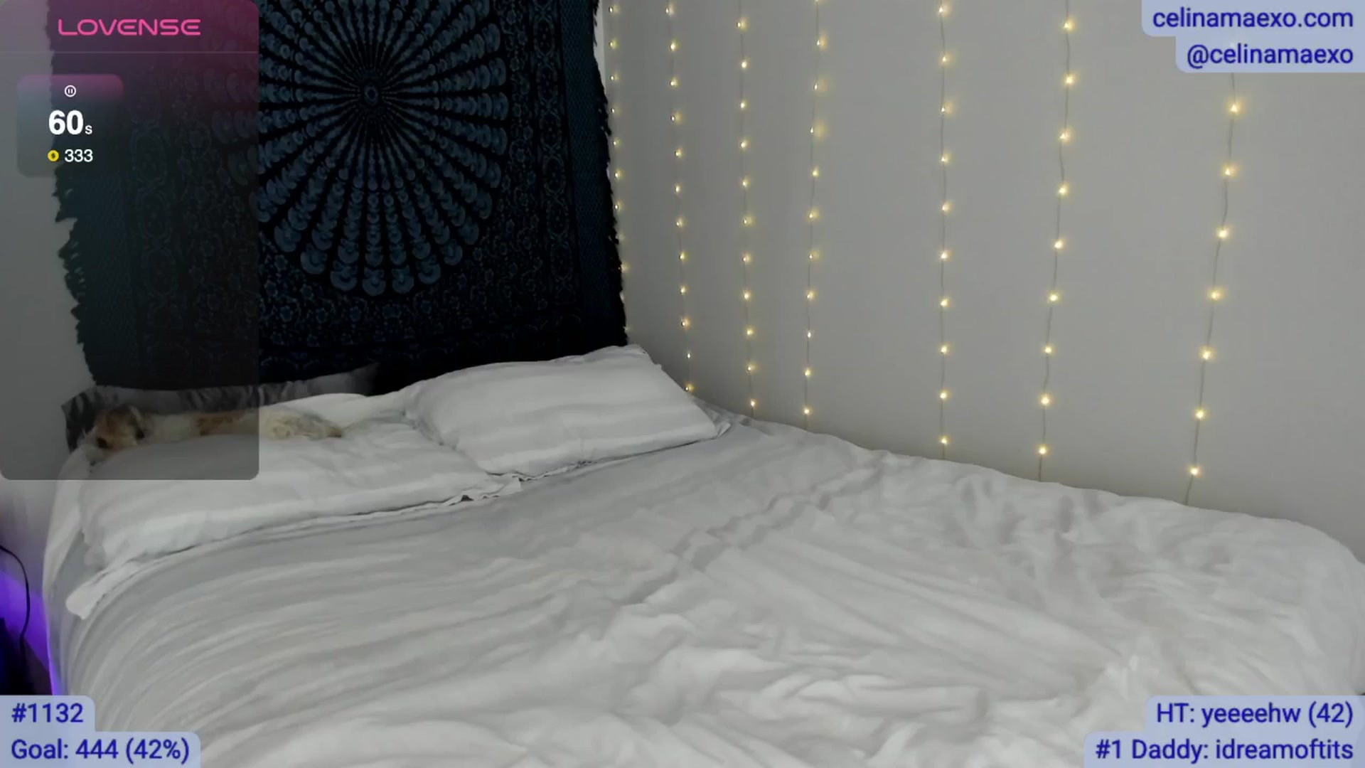Gallery image thumbnail from Celinamaexo's myfreecams stream on, 11/17/2025, 20:21 image 14 of 20
