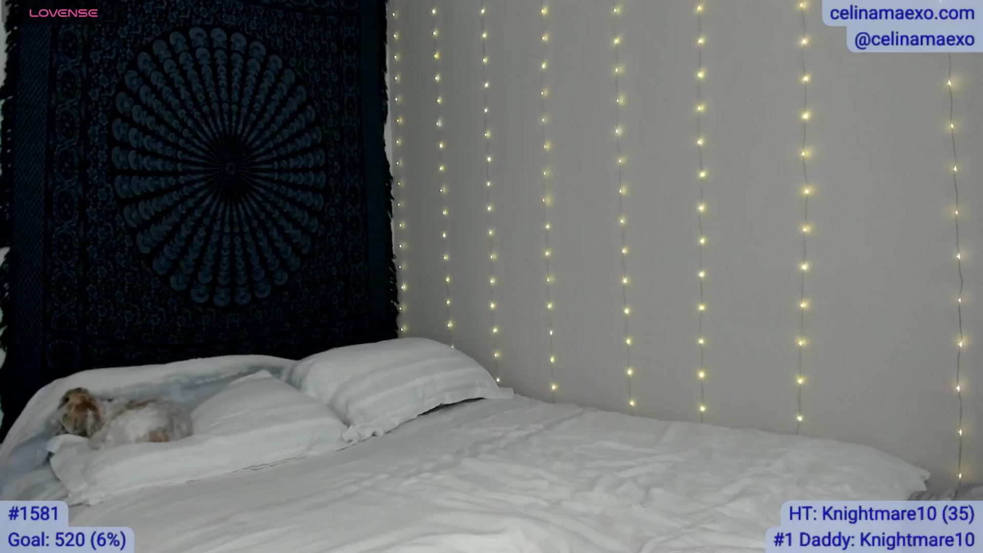 Gallery image thumbnail from Celinamaexo's myfreecams stream on, 12/15/2025, 17:34 image 7 of 20