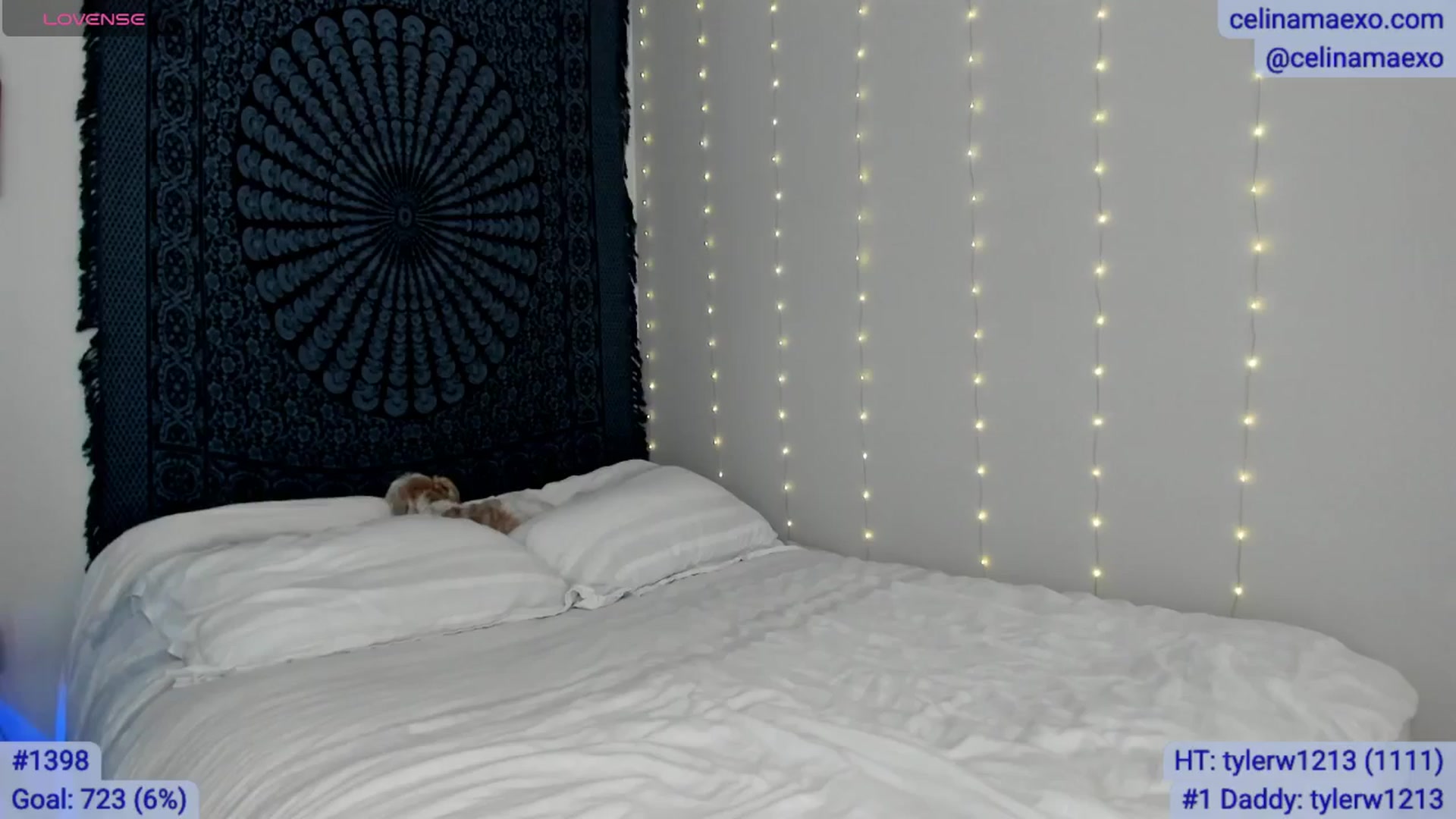 Gallery image thumbnail from Celinamaexo's myfreecams stream on, 12/18/2025, 17:35 image 1 of 20