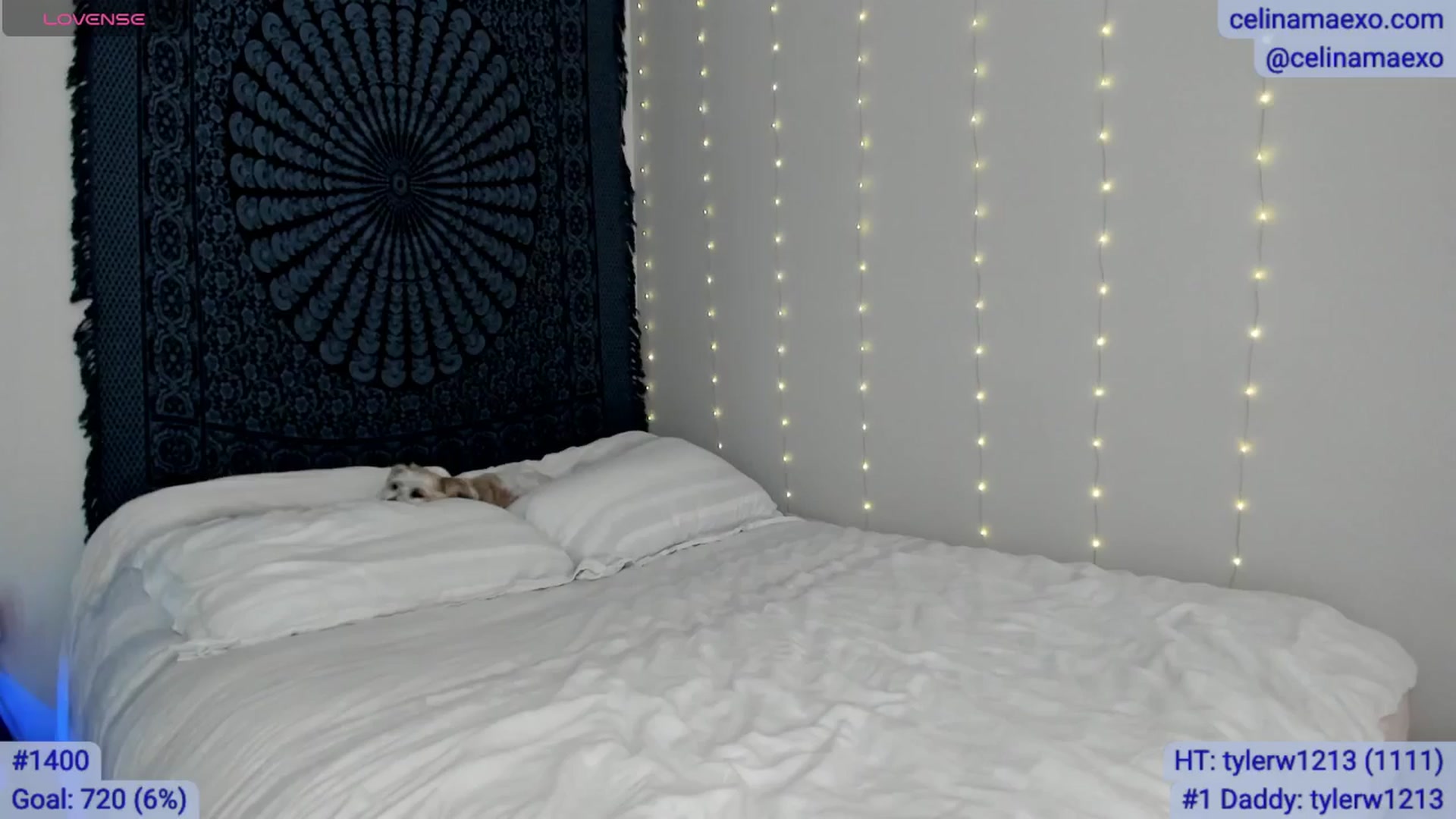 Gallery image thumbnail from Celinamaexo's myfreecams stream on, 12/18/2025, 17:35 image 10 of 20
