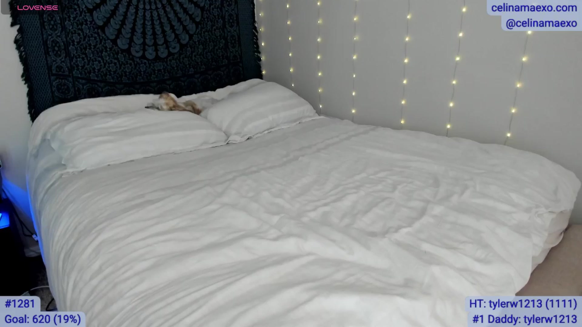Gallery image thumbnail from Celinamaexo's myfreecams stream on, 12/18/2025, 18:25 image 2 of 20