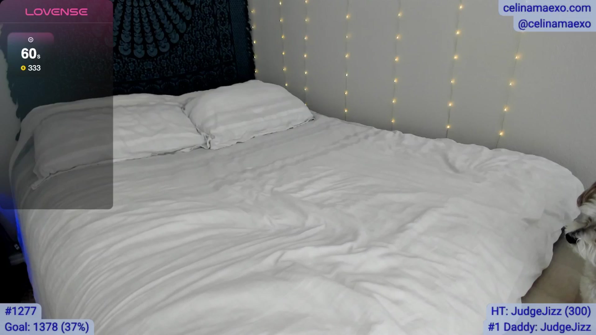 Gallery image thumbnail from Celinamaexo's myfreecams stream on, 01/09/2026, 18:30 image 15 of 20