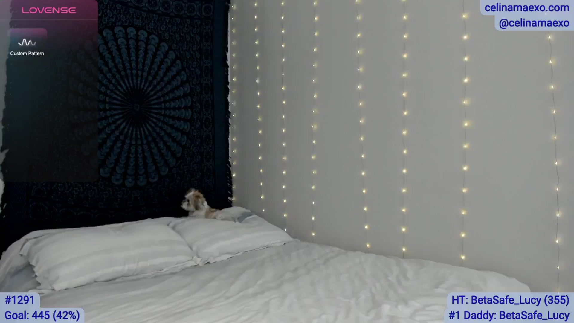 Gallery image thumbnail from Celinamaexo's myfreecams stream on, 02/02/2026, 19:56 image 14 of 20