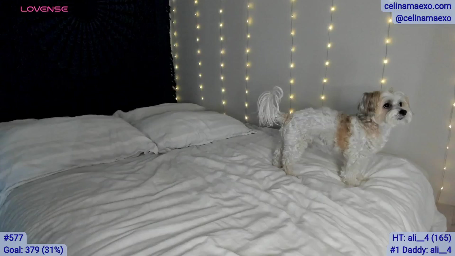 Gallery image thumbnail from Celinamaexo's myfreecams stream on, 02/26/2026, 09:15 image 4 of 20