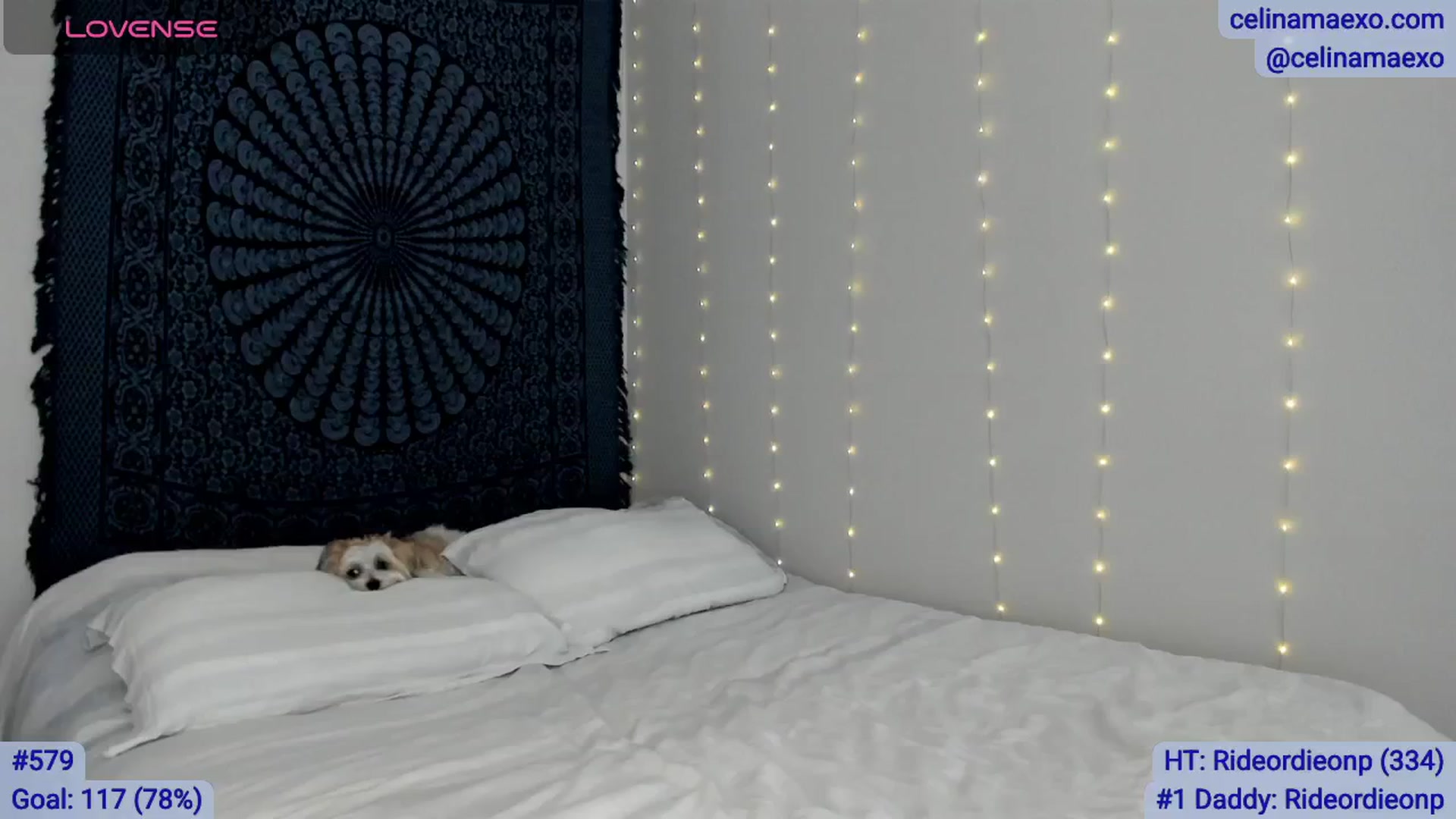 Gallery image thumbnail from Celinamaexo's myfreecams stream on, 02/26/2026, 20:01 image 5 of 20