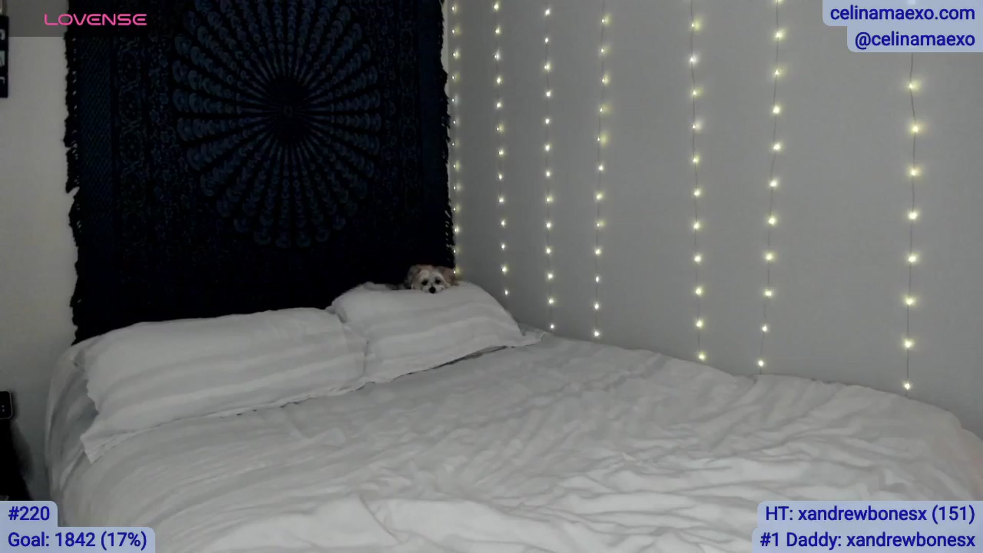 Gallery image thumbnail from Celinamaexo's myfreecams stream on, 03/13/2026, 01:25 image 15 of 20