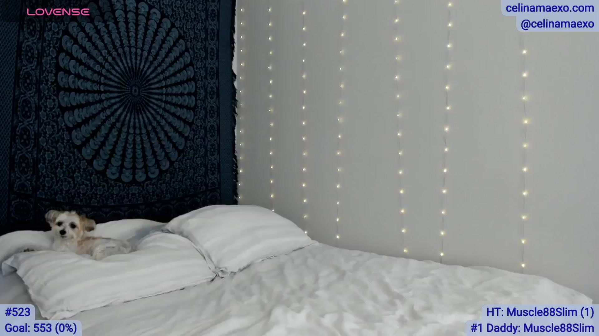 Gallery image thumbnail from Celinamaexo's myfreecams stream on, 03/31/2026, 17:07 image 3 of 20
