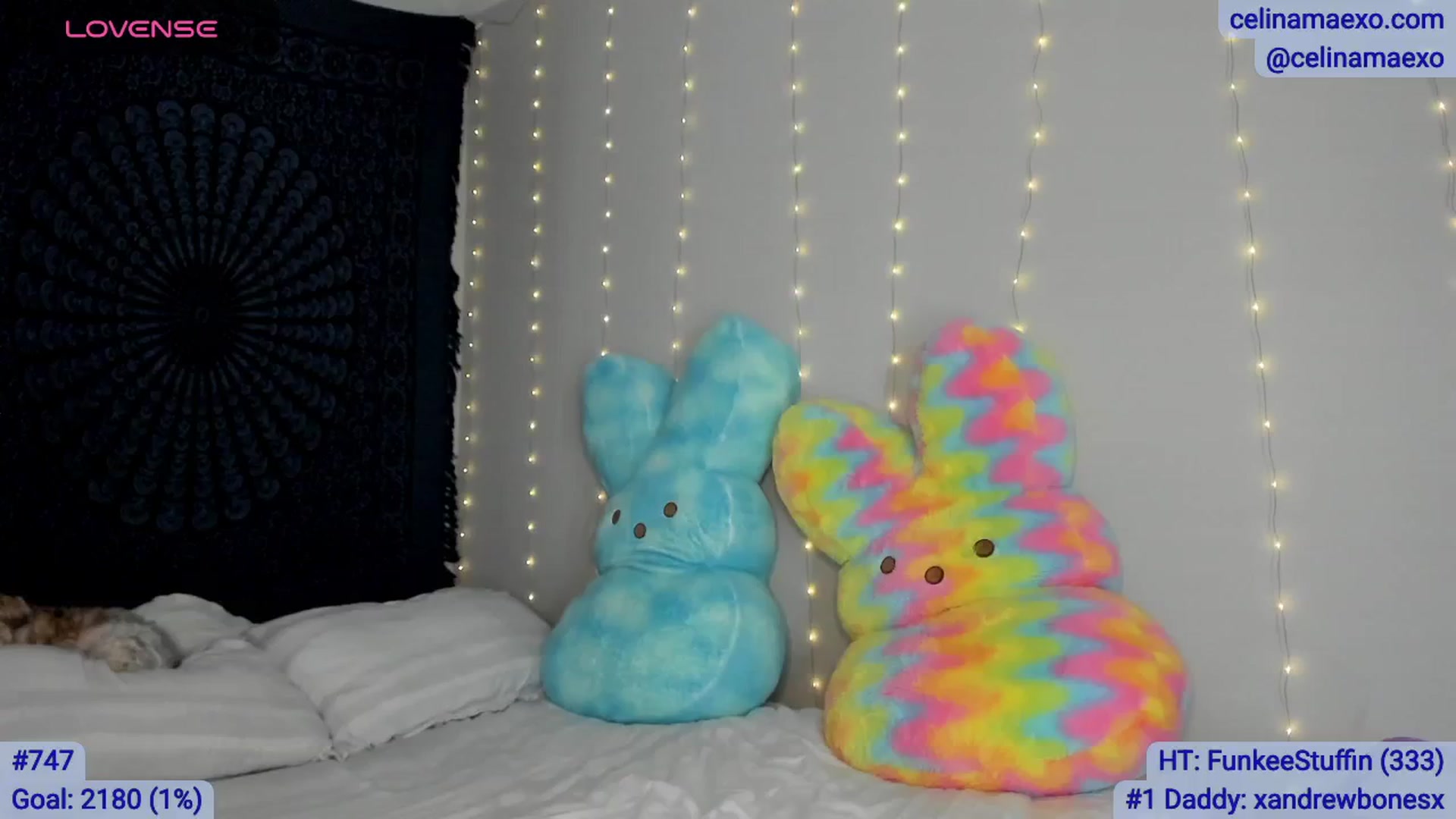 Gallery image thumbnail from Celinamaexo's myfreecams stream on, 04/06/2026, 04:05 image 6 of 20