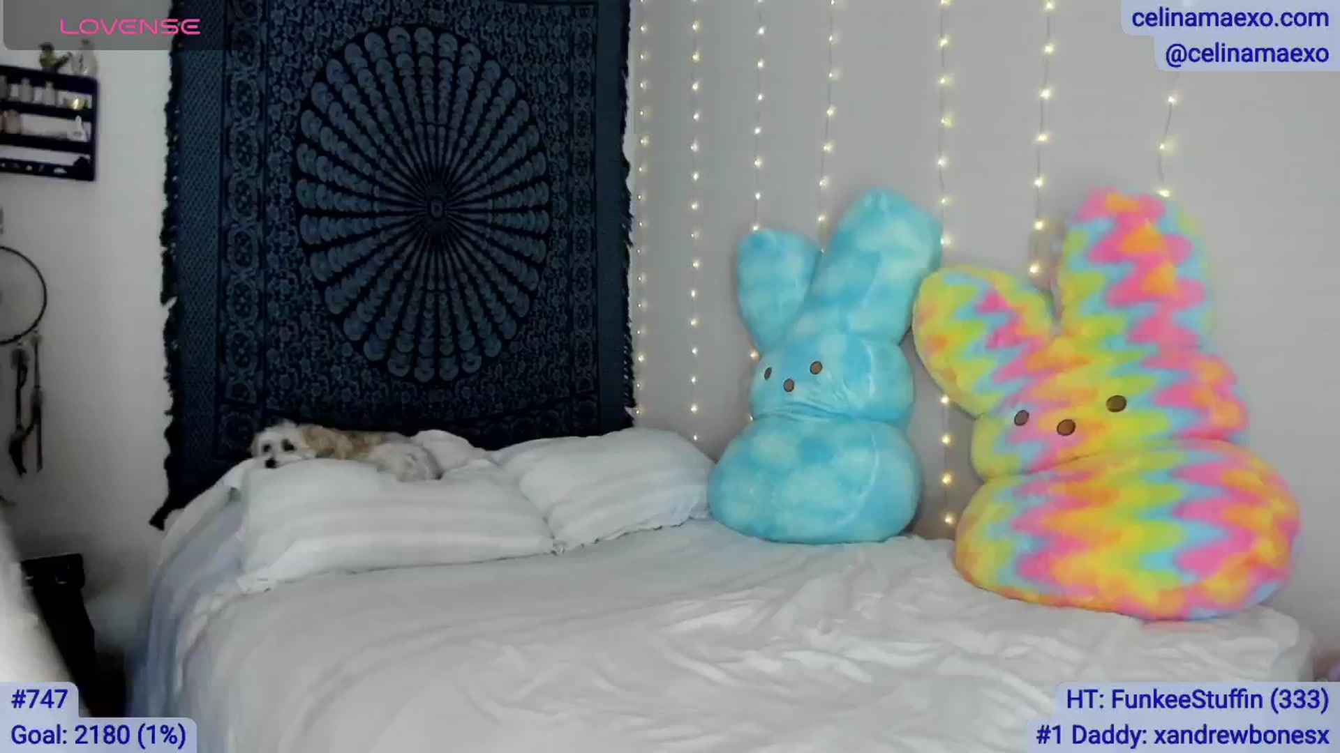 Gallery image thumbnail from Celinamaexo's myfreecams stream on, 04/06/2026, 04:05 image 3 of 20
