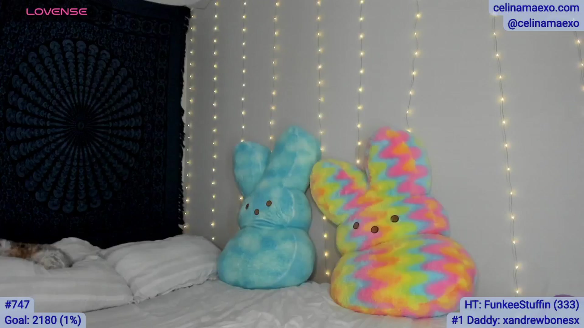 Gallery image thumbnail from Celinamaexo's myfreecams stream on, 04/06/2026, 04:05 image 7 of 20