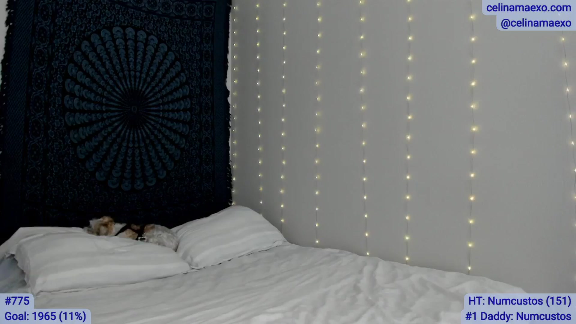 Gallery image thumbnail from Celinamaexo's myfreecams stream on, 04/08/2026, 17:43 image 18 of 20