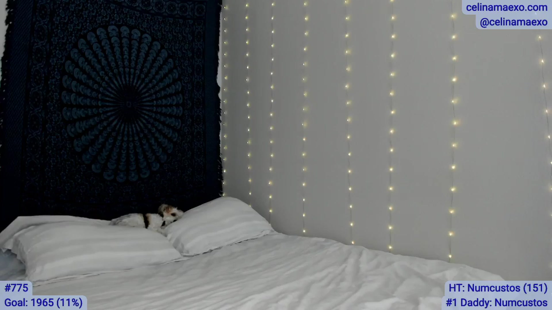 Gallery image thumbnail from Celinamaexo's myfreecams stream on, 04/08/2026, 17:43 image 11 of 20