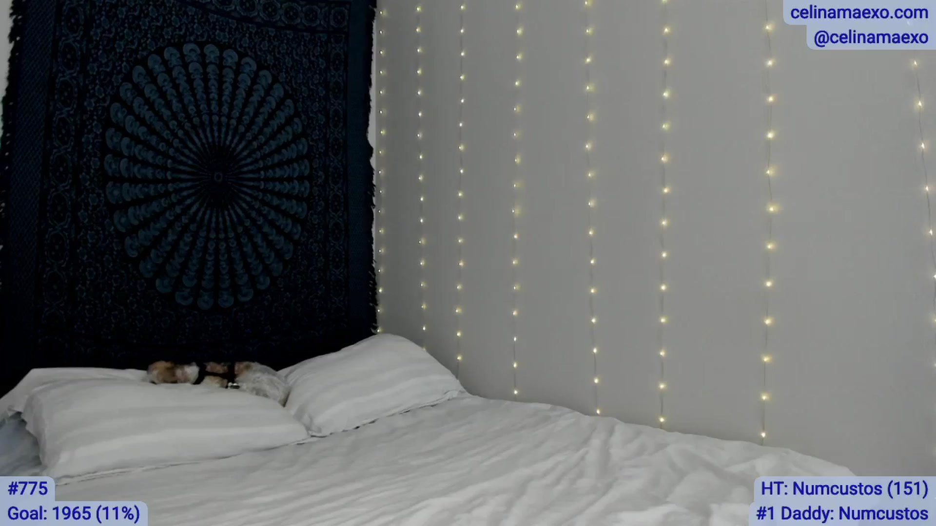 Gallery image thumbnail from Celinamaexo's myfreecams stream on, 04/08/2026, 17:43 image 12 of 20