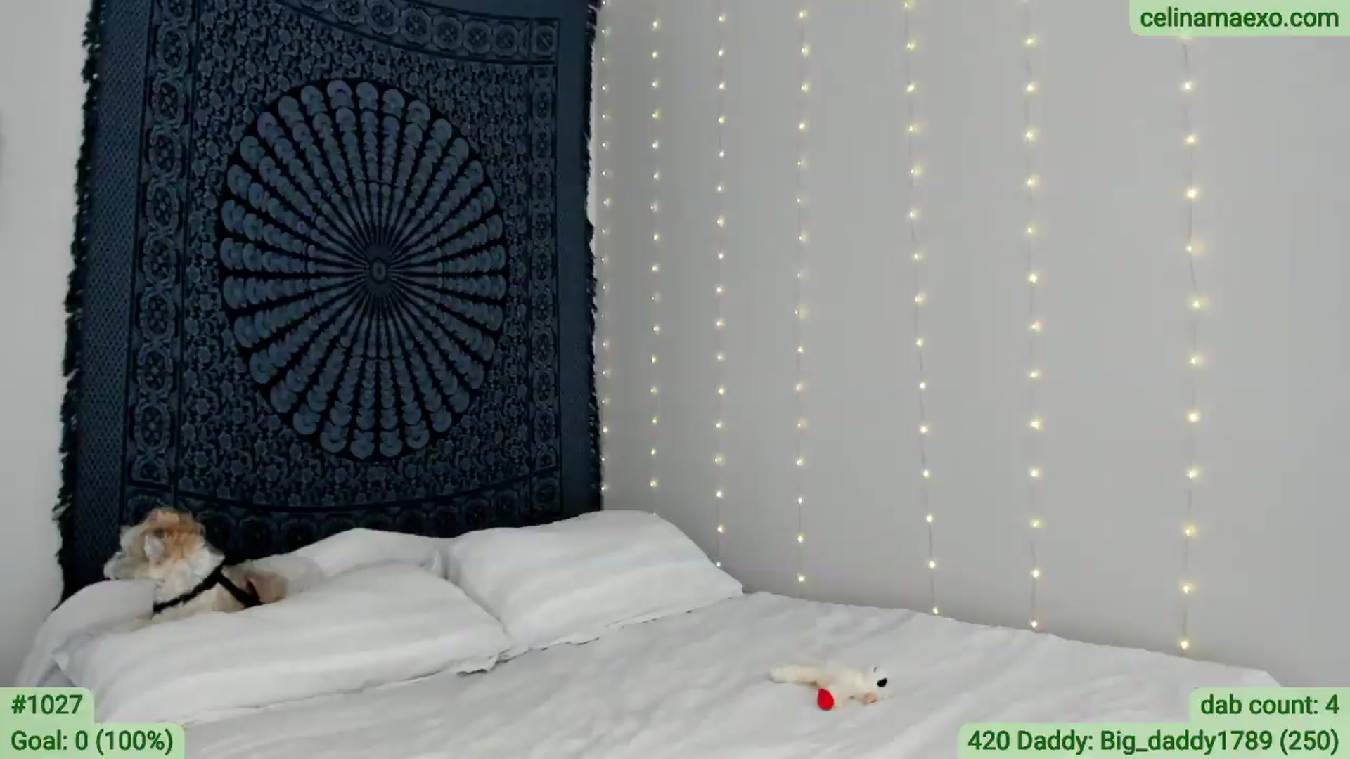 Gallery image thumbnail from Celinamaexo's myfreecams stream on, 04/20/2026, 21:58 image 14 of 20