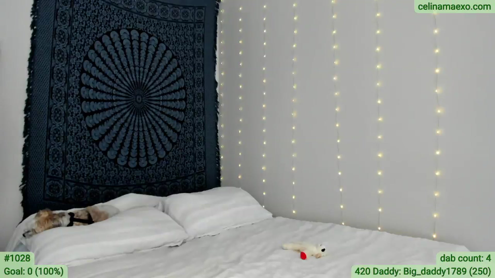 Gallery image thumbnail from Celinamaexo's myfreecams stream on, 04/20/2026, 21:58 image 16 of 20