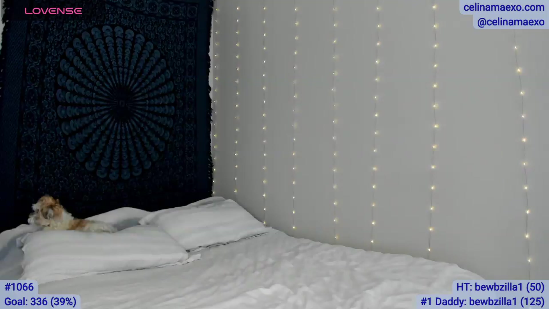 Gallery image thumbnail from Celinamaexo's myfreecams stream on, 04/28/2026, 16:41 image 18 of 20