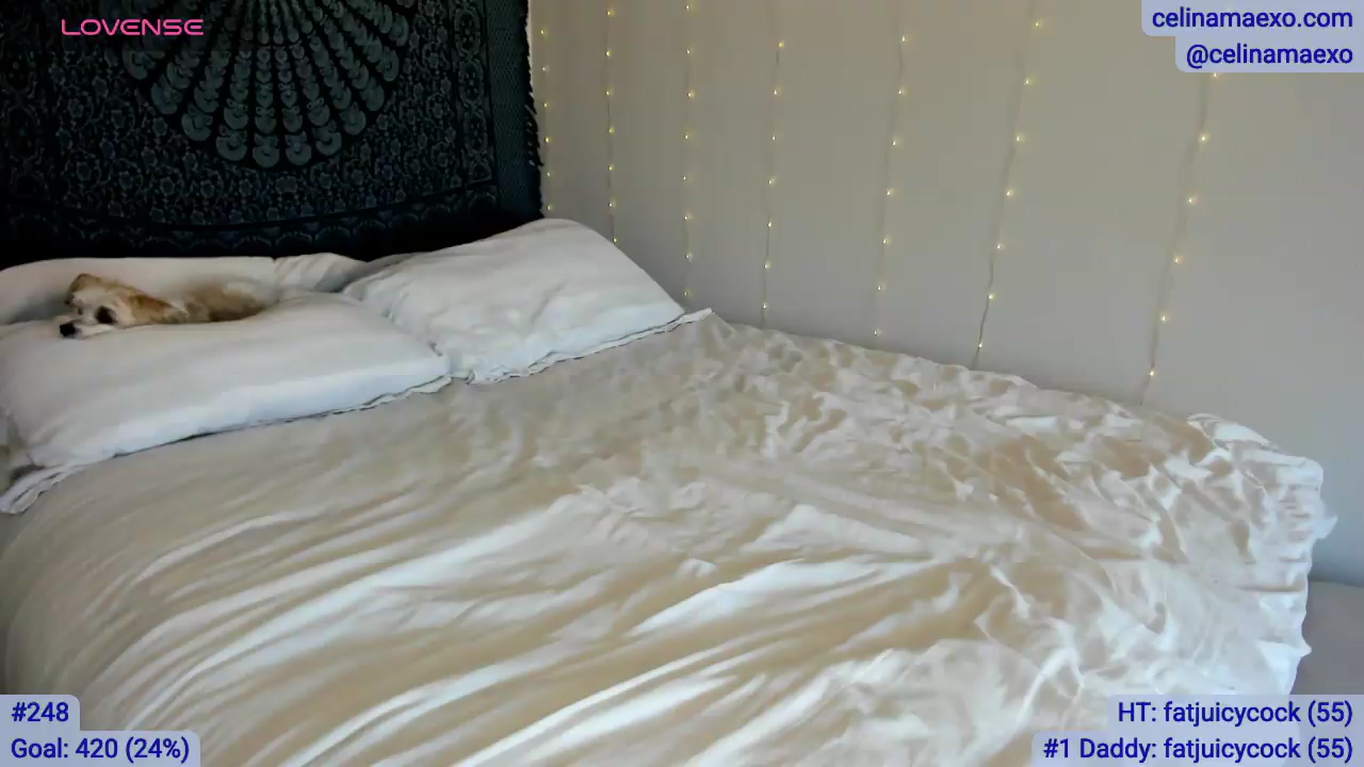 Gallery image thumbnail from Celinamaexo's myfreecams stream on, 05/02/2026, 20:08 image 13 of 20