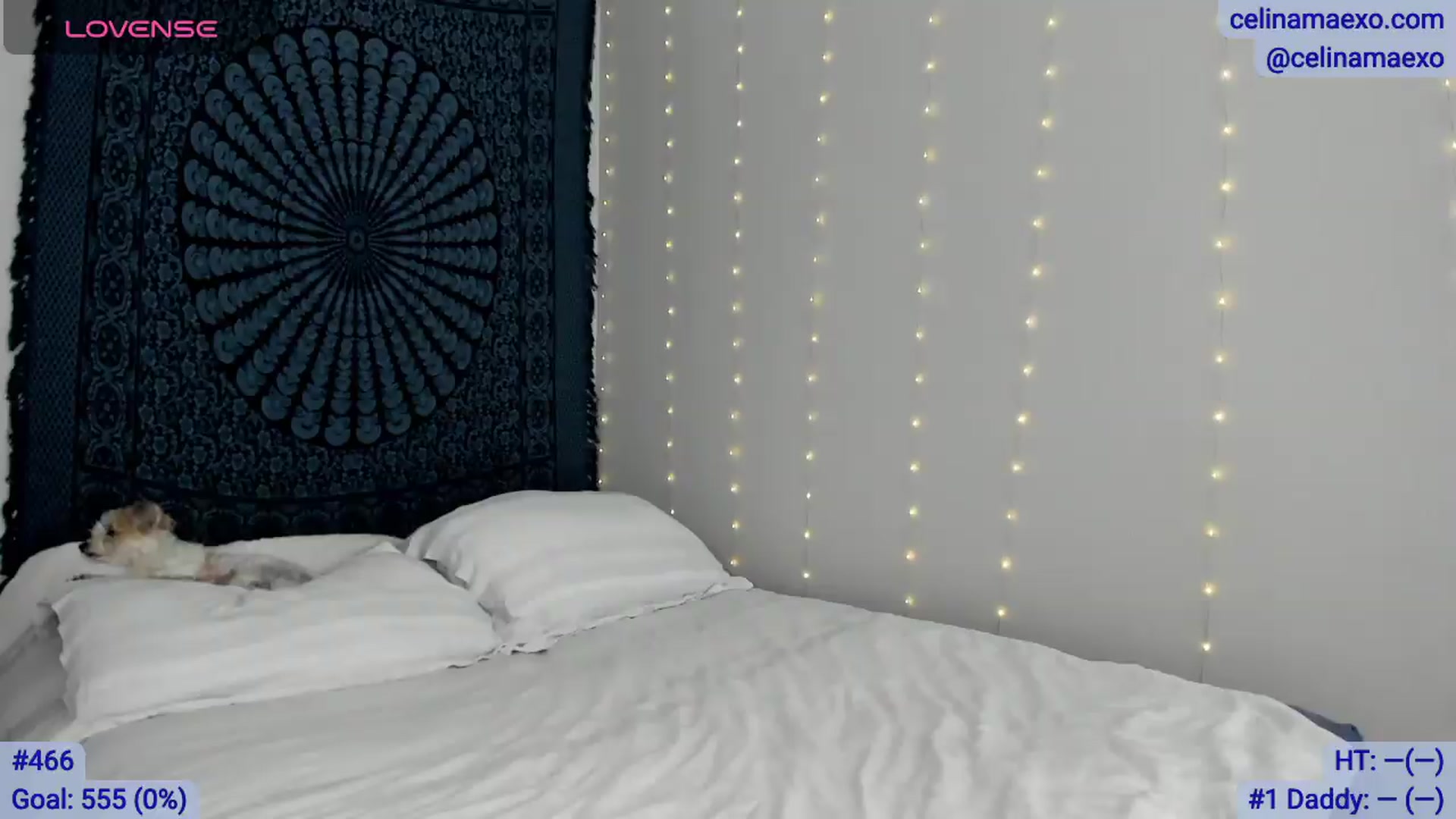 Gallery image thumbnail from Celinamaexo's myfreecams stream on, 05/14/2026, 16:56 image 17 of 20