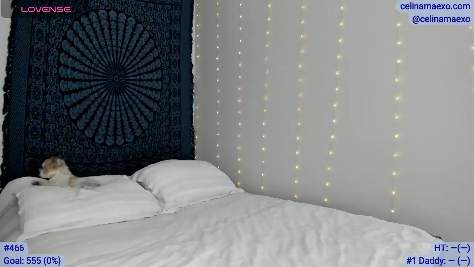 Gallery image thumbnail from Celinamaexo's myfreecams stream on, 05/14/2026, 16:56 image 8 of 20
