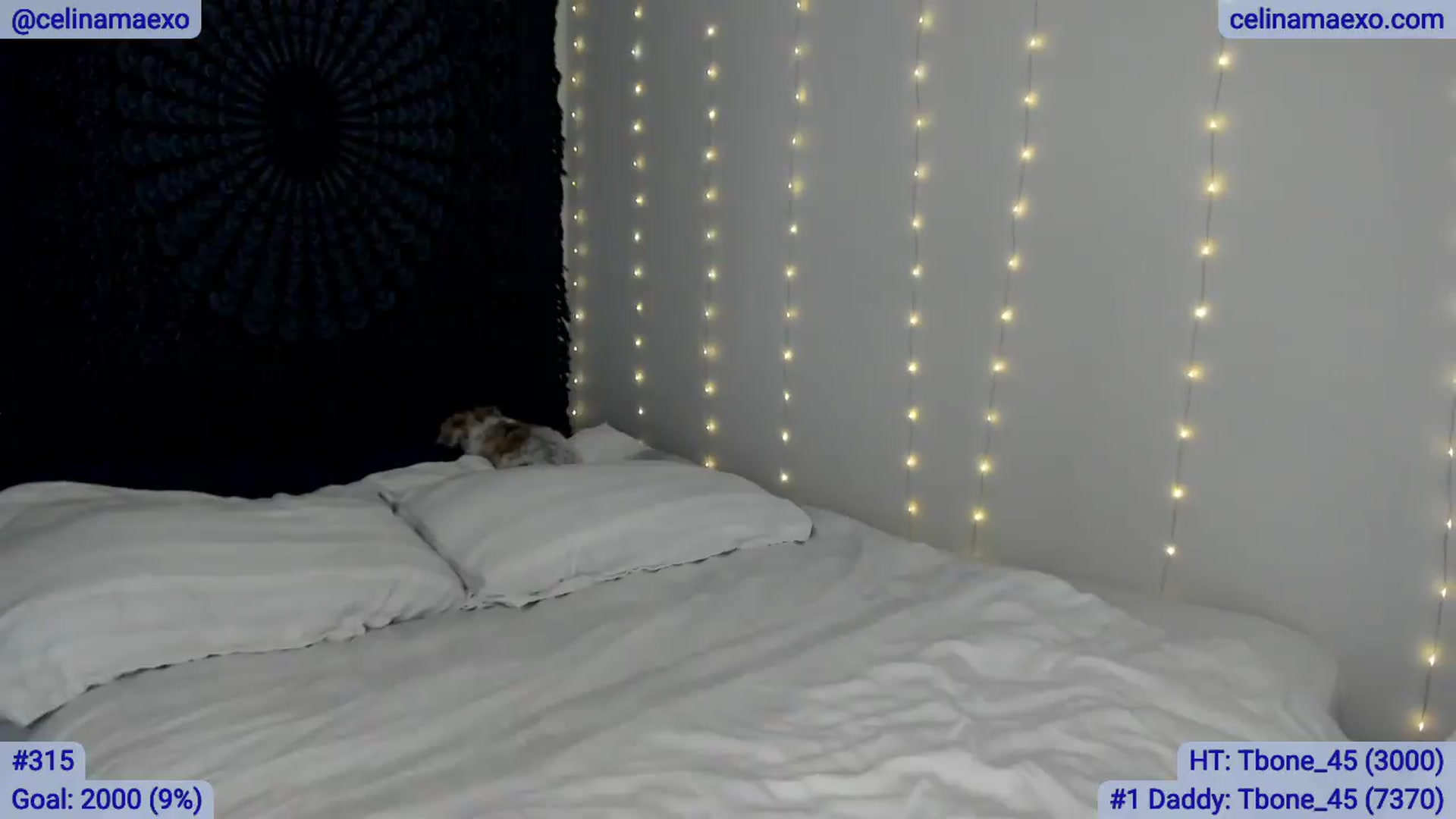 Gallery image thumbnail from Celinamaexo's myfreecams stream on, 05/23/2026, 07:03 image 5 of 20