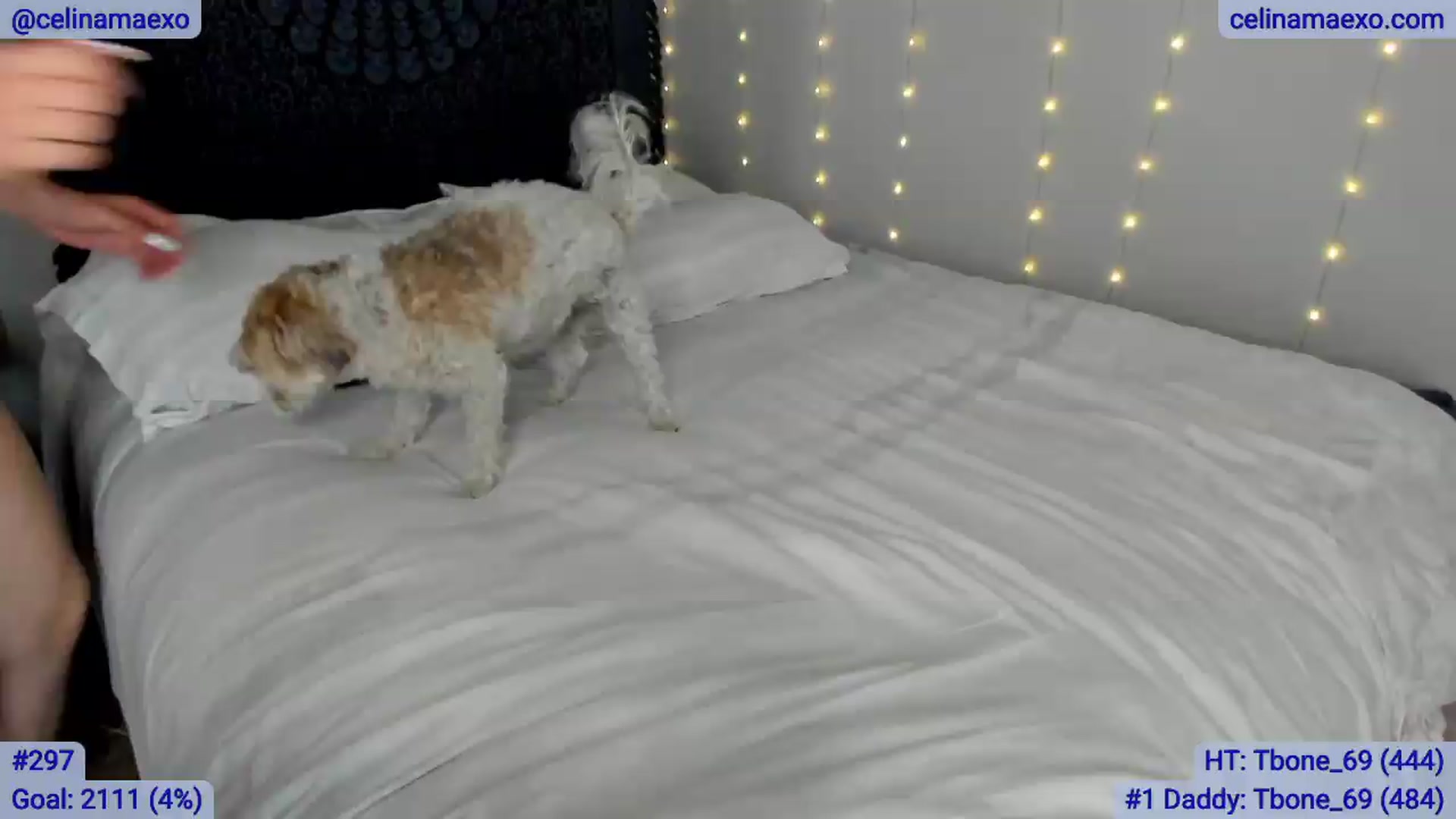 Gallery image thumbnail from Celinamaexo's myfreecams stream on, 05/25/2026, 05:26 image 10 of 20