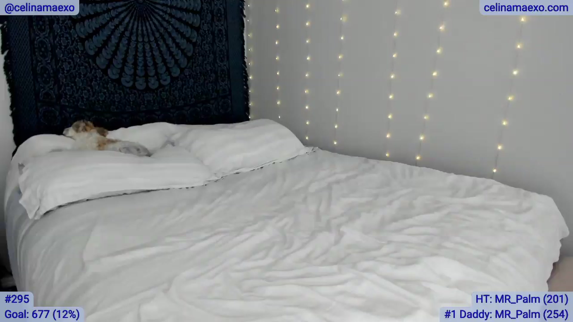 Gallery image thumbnail from Celinamaexo's myfreecams stream on, 05/25/2026, 19:11 image 20 of 20