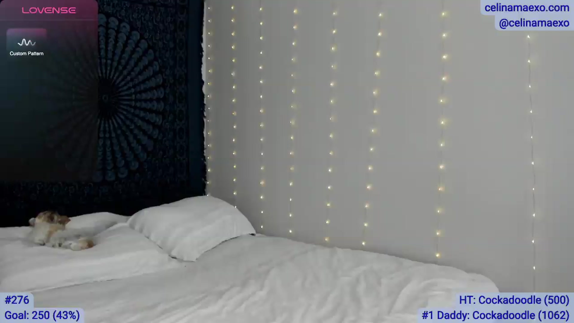 Gallery image thumbnail from Celinamaexo's myfreecams stream on, 05/29/2026, 17:49 image 17 of 20