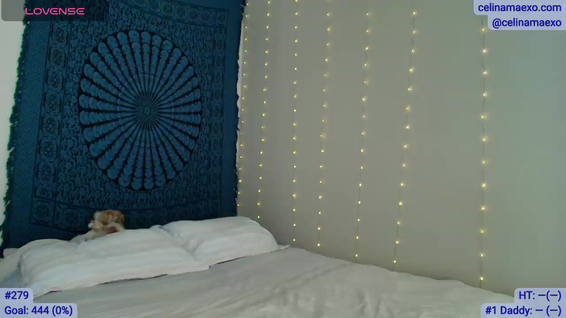 Gallery image thumbnail from Celinamaexo's myfreecams stream on, 05/31/2026, 16:41 image 1 of 20