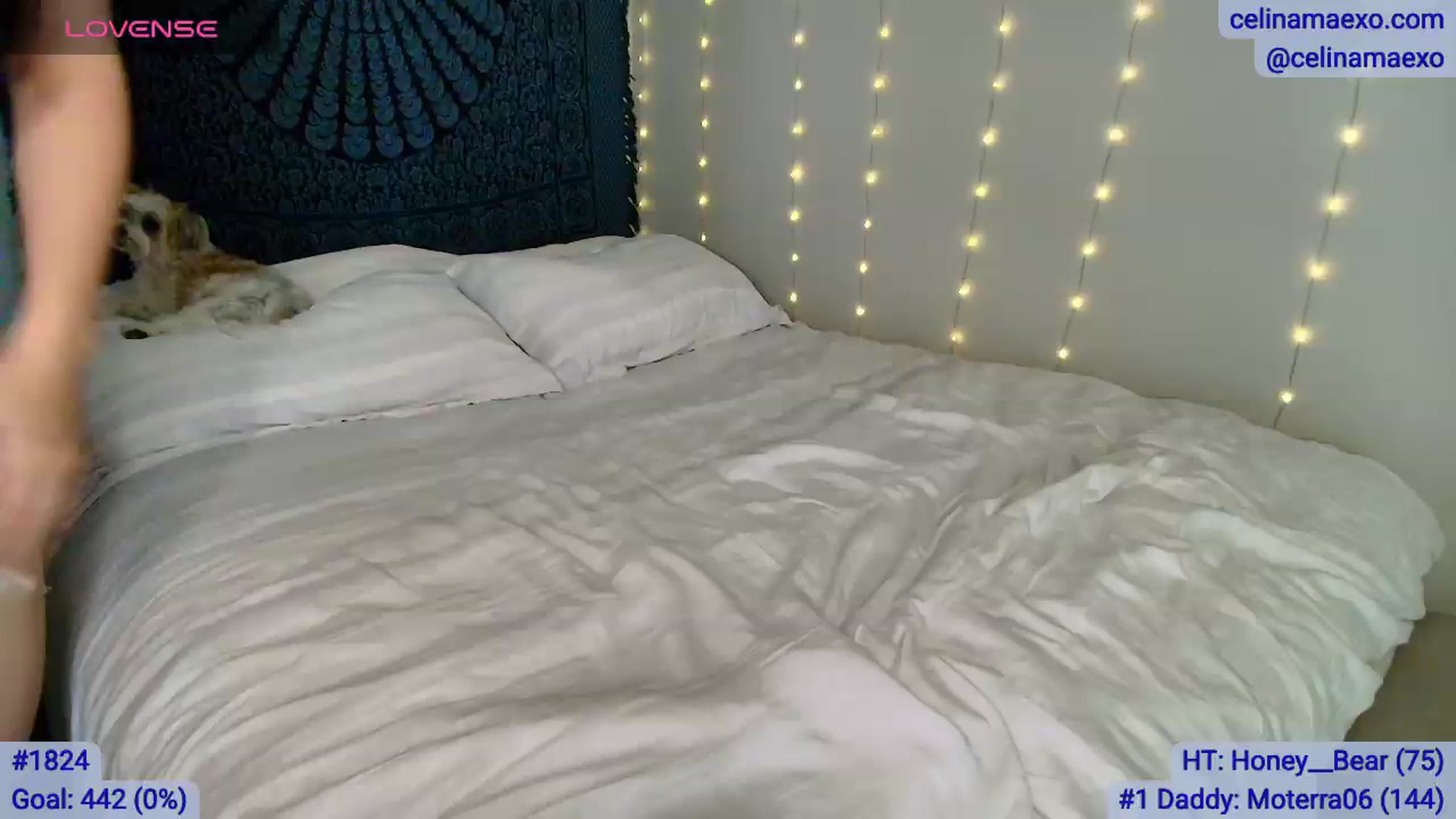 Gallery image thumbnail from Celinamaexo's myfreecams stream on, 06/02/2026, 05:47 image 2 of 20