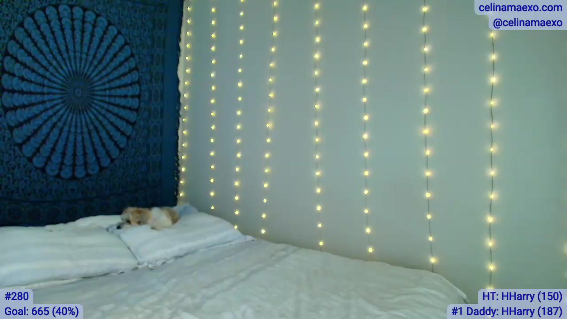 Gallery image thumbnail from Celinamaexo's myfreecams stream on, 06/15/2026, 05:33 image 5 of 20