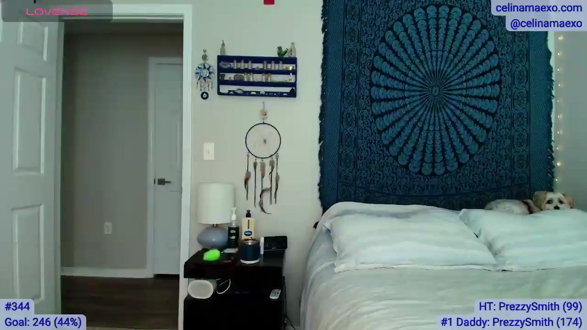 Gallery image thumbnail from Celinamaexo's myfreecams stream on, 06/26/2026, 16:15 image 16 of 20