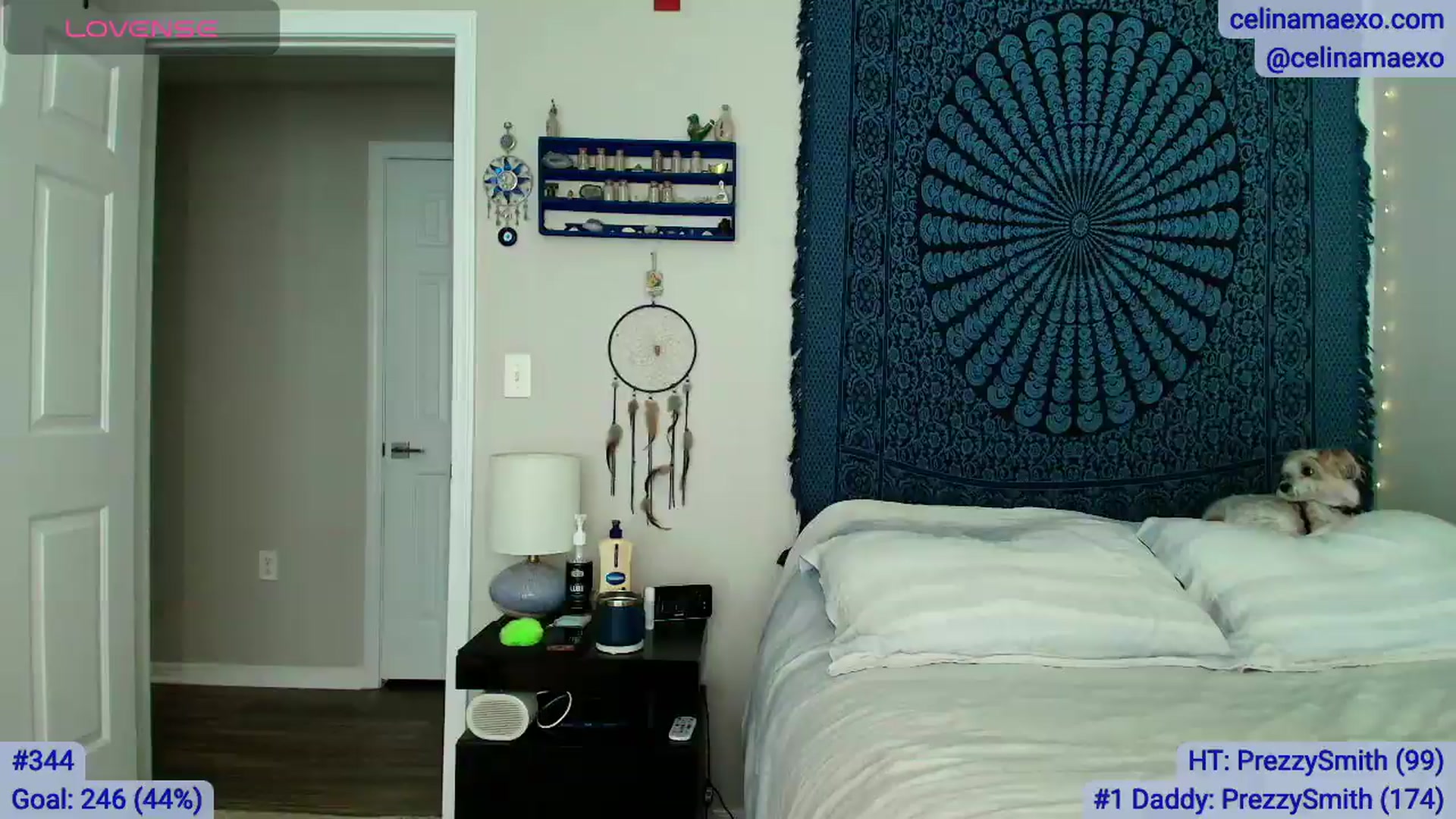 Gallery image thumbnail from Celinamaexo's myfreecams stream on, 06/26/2026, 16:15 image 17 of 20