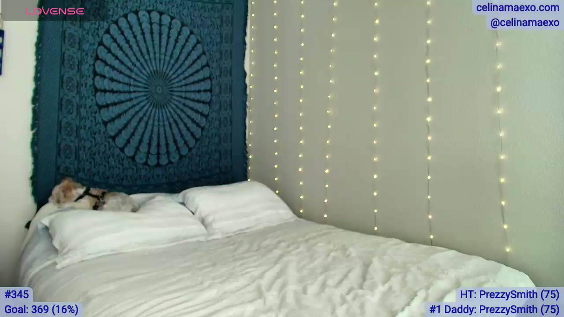 Gallery image thumbnail from Celinamaexo's myfreecams stream on, 06/26/2026, 16:15 image 2 of 20