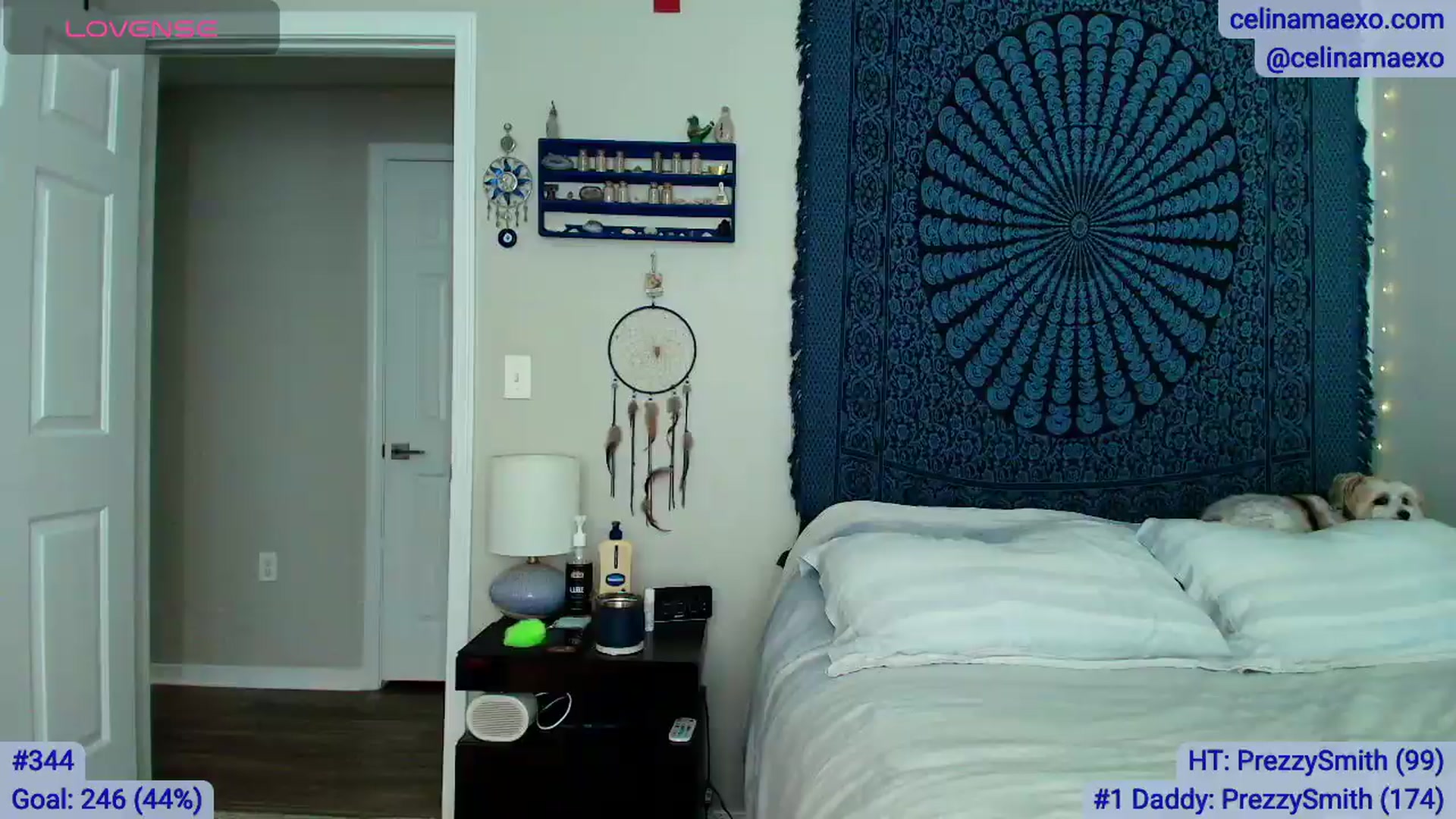 Gallery image thumbnail from Celinamaexo's myfreecams stream on, 06/26/2026, 16:15 image 12 of 20