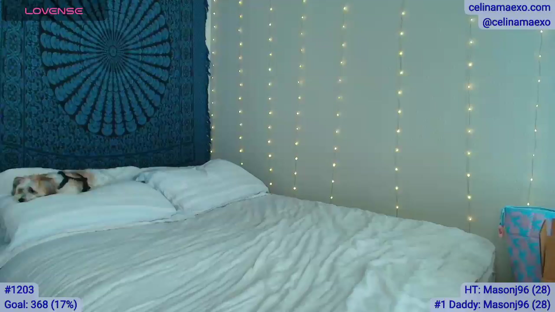 Gallery image thumbnail from Celinamaexo's myfreecams stream on, 07/29/2026, 19:53 image 7 of 20