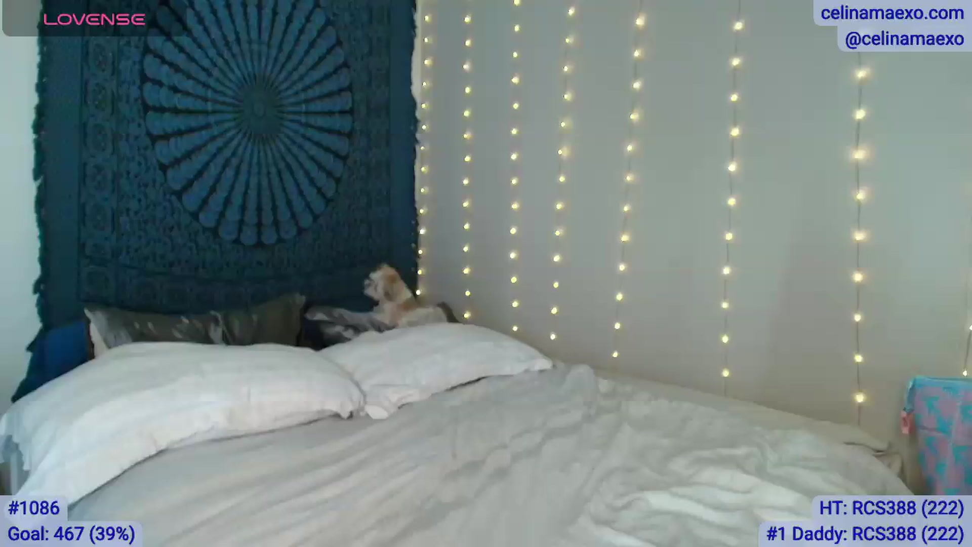 Gallery image thumbnail from Celinamaexo's myfreecams stream on, 07/30/2026, 06:15 image 18 of 20
