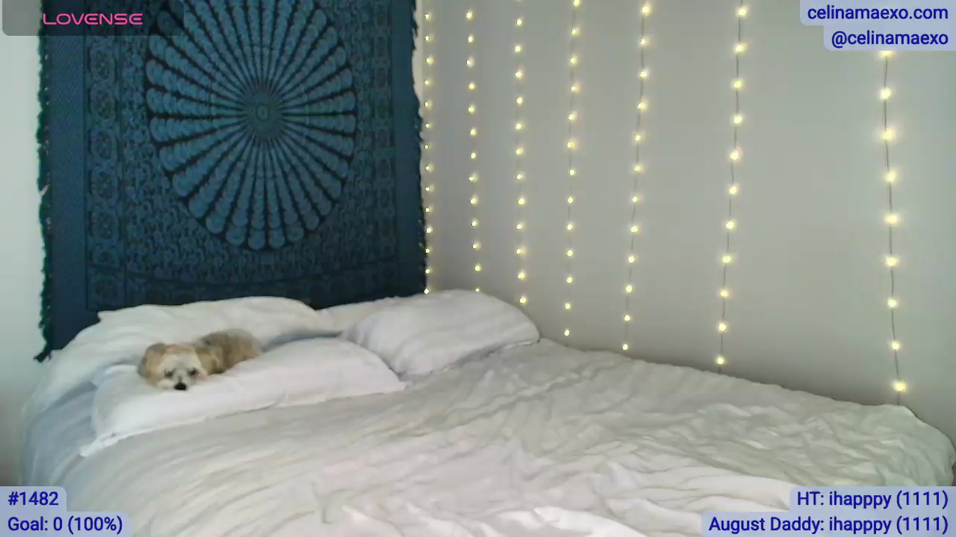 Gallery image thumbnail from Celinamaexo's myfreecams stream on, 08/13/2026, 04:42 image 8 of 20