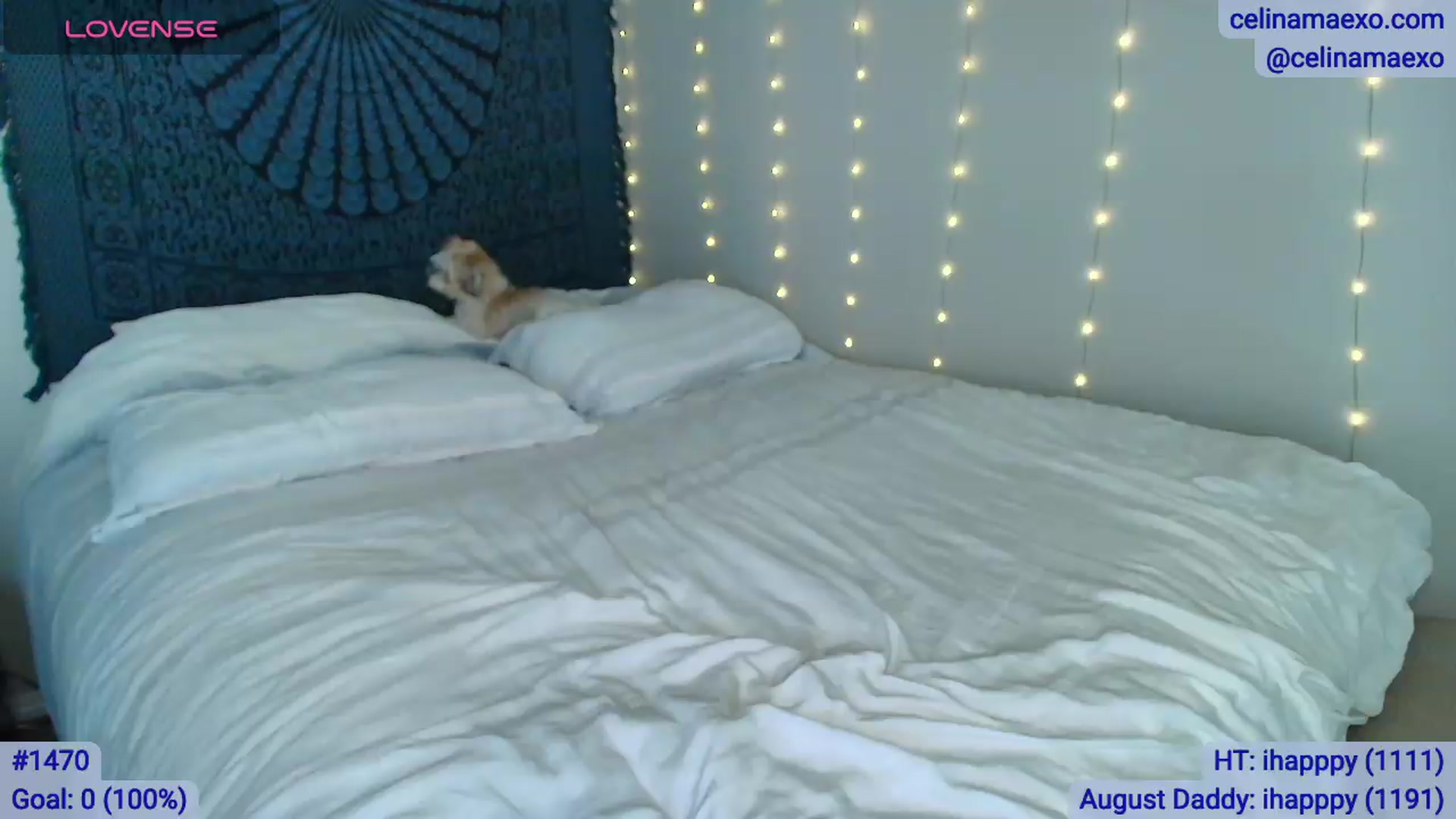 Gallery image thumbnail from Celinamaexo's myfreecams stream on, 08/13/2026, 04:42 image 20 of 20